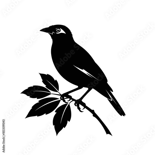 bird on a branch