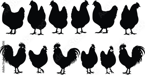 Silhouette collection of chickens and roosters in various poses, farm bird vector set for design, decoration, agriculture, and illustration projects