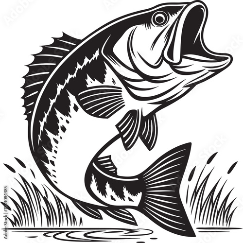 fish on a black background