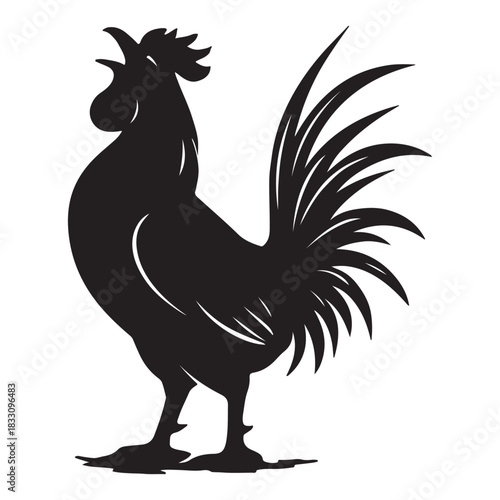Rooster isolated on white background. Proud rooster or cockerel bird silhouette standing vector design