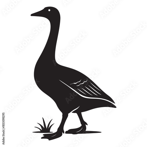 Elegant Black Swan Or Goose Silhouette Standing On White Background Vector. Vector illustration of a bird. 