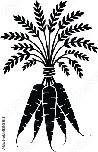 Minimalist black bunch of carrots vegetable silhouette vector icon