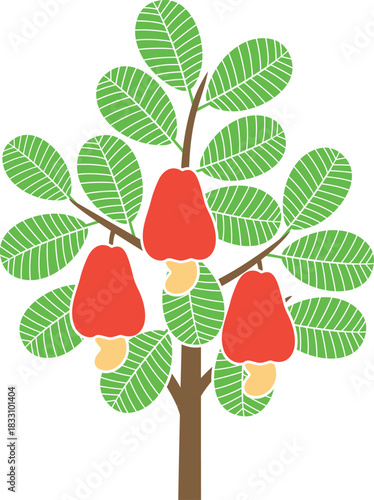 Cashew nut tree logo. Isolated cashew nut tree on white background