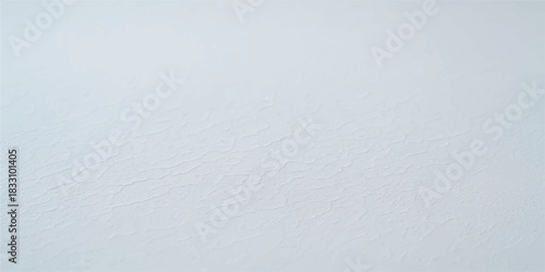 Old textured white paper background with a rough, grunge pattern and a blank canvas surface
