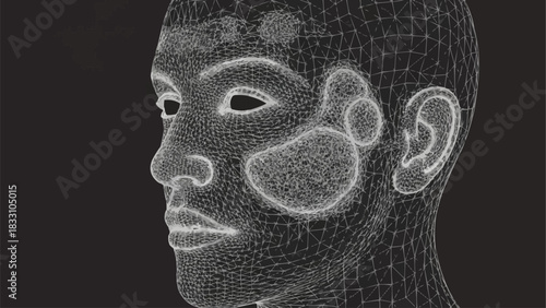 Wireframe Human Head with Highlighted Facial Anatomy and Glands.