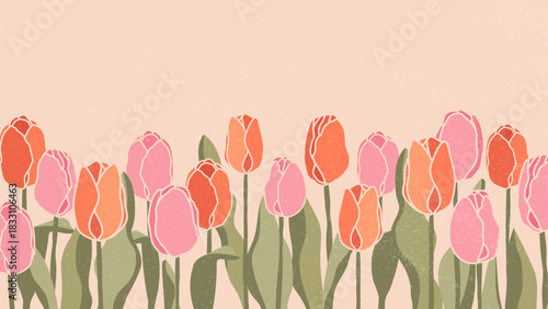 Flower Banner With Pink And Red Tulips. Vector Abstract drawing of spring flowers for covers, posters, postcards