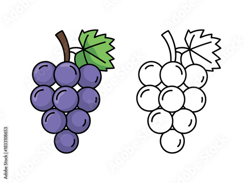 A cluster of purple grapes is shown next to an outline of grapes, ready for coloring.