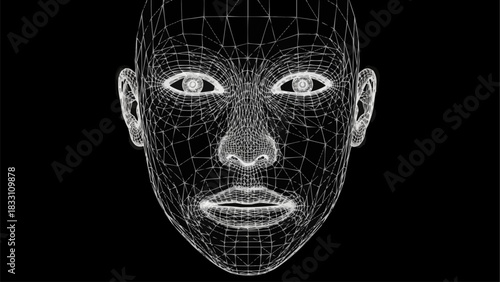 Three dimensional wireframe grid of a human face.