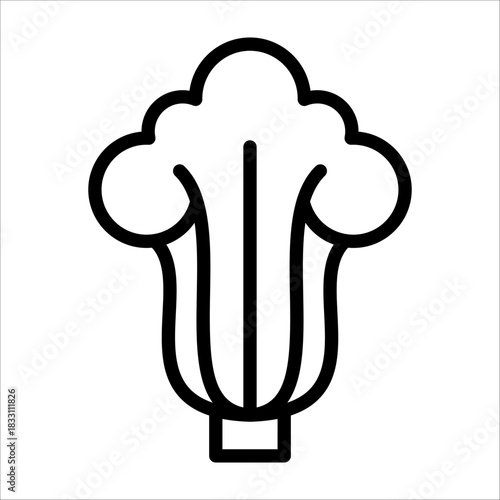 A simple single chinese pak choi icon for design element or coloring book element