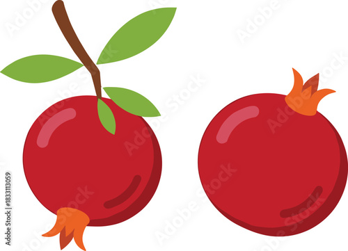 Since we have already provided the title and keywords for the Mangoes, Grapes, Fruit Assortment, Pineapples, Watermelon, Cantaloupe, and Guava, here is the analysis for your new vector