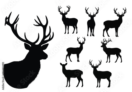 A collection of detailed black silhouette illustrations of majestic deer and their impressive antlers captured against a pristine white background