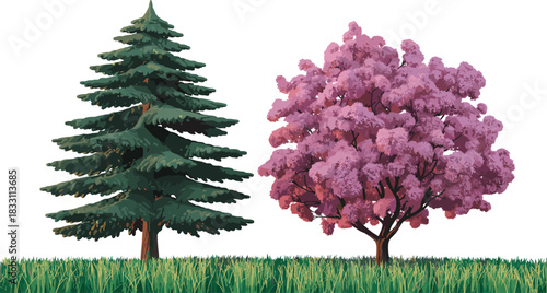 Vector illustration set of green evergreen pine tree and blooming pink cherry blossom, isolated nature elements for landscape design.