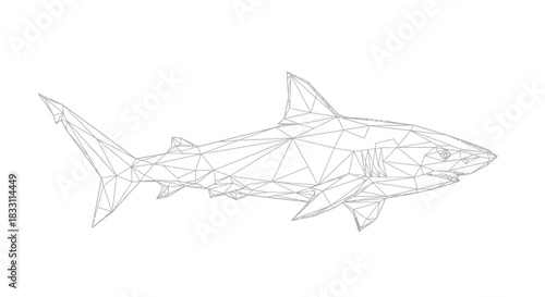 Geometric shark illustration in black lines against a white background design art