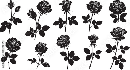 Rose Silhouette Vector Bundle | Black Floral Clipart Set | Rose Flower Outline Illustrations for Print & Craft