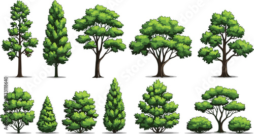Set of Green Trees, Bushes, and Shrubs Isolated on White Background for Landscape Design, Park, Garden, and Nature Scene Vector Illustration