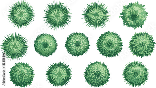Top View Bushes and Shrubs Collection Isolated on White Background for Architectural Plans, Landscape Layout, Gardening, and Map Element Design Vector