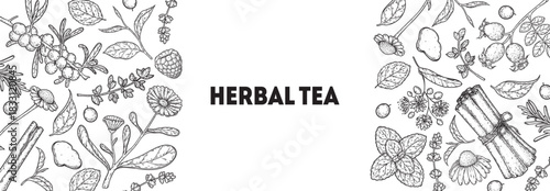 Herbal Tea vector drawing illustration. Herbal tea ingredients. Healthy food and drink . Vector drawing sketch collection. Engraved style.