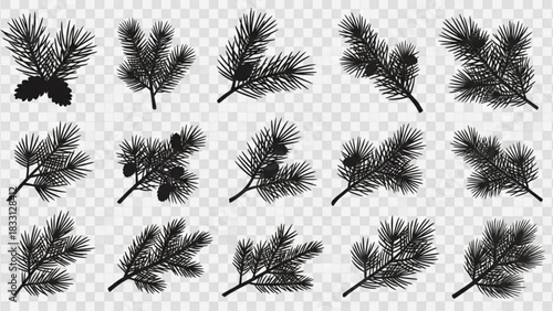 Collection of black silhouette pine branches with pine cones on a transparent background for design elements and winter holiday decorations