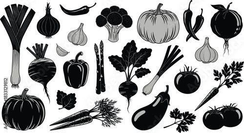 Black and gray silhouette collection of various fresh vegetables on white background