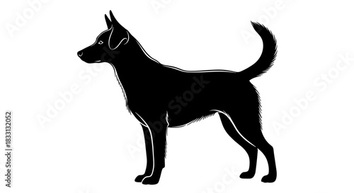 Silhouette of a Dog Standing Alert and Focused 1.