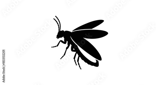 Silhouette of a Flying Insect with Detailed Wings.