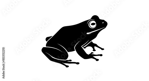 Silhouette of a Frog A Detailed Vector Illustration.