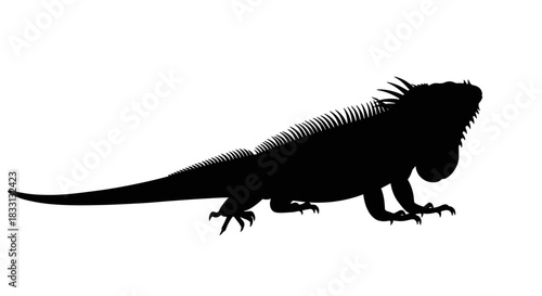 Silhouette of a Green Iguana Walking on a White Background.