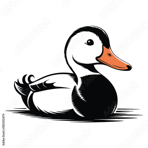 duck on white