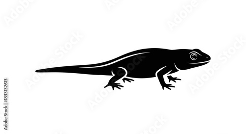 Silhouette of a Lizard A Vector Illustration.