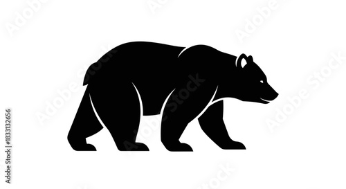 Silhouette of a Majestic Bear Walking Forward.