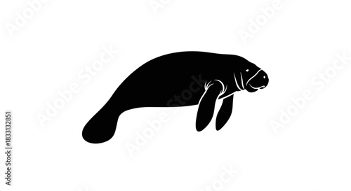 Silhouette of a Manatee Swimming in the Ocean.