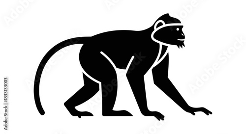 Silhouette of a Monkey in a Crawling Position.
