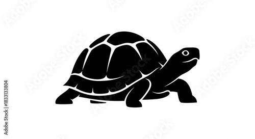 Silhouette of a Turtle with Detailed Shell Pattern.