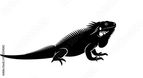 Silhouette of an Iguana A Striking Reptilian Illustration.