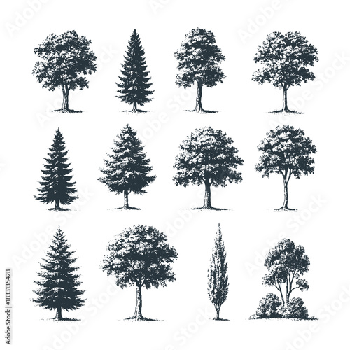 Detailed tree collection vector featuring multiple species in varied shapes and foliage, perfect for landscape design, botanical references, educational materials, and outdoor graphic themes.
