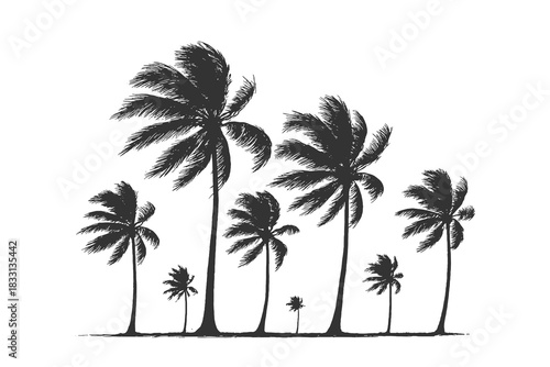 Tropical palm tree vector illustration with tall swaying palms and a beach horizon, ideal for summer posters, travel themes, island graphics, and tropical branding projects.