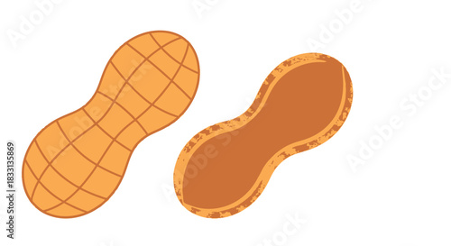 A colorful illustration depicts a peanut shell with and without the nut