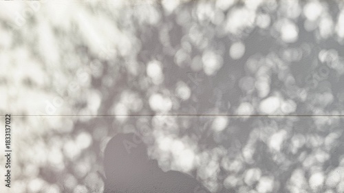 Blurred Natural Shadow on Wall – Abstract Light and Texture