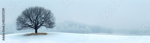 Winters Solitude A Single Tree in a Tranquil Snowy Landscape