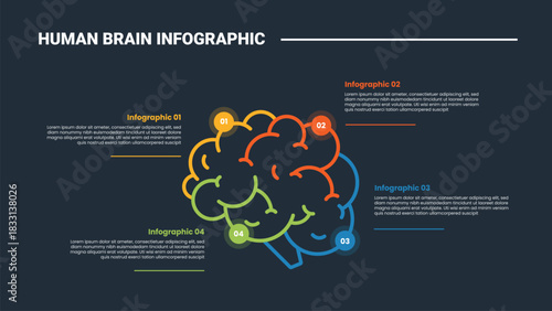 Human Brain anatomy infographic process diagram with centered object with circle point and line divider outline with dark background bright outline style 4 points