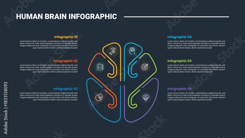 Human Brain anatomy infographic process diagram with simple round line divider with stacked list information with dark background bright outline style 6 points