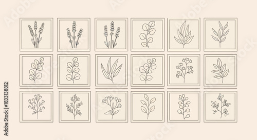 Botanical illustrations in frames, arranged in a grid pattern on a beige background.