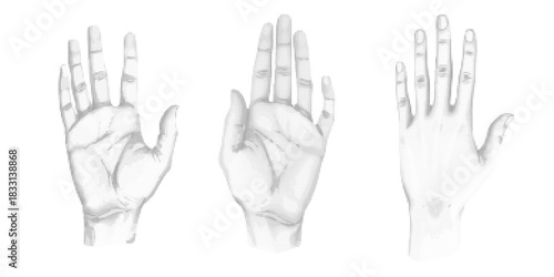 Collection of Hands, brush, gesture, hand showing five fingers, illustration in halftone style, soft dotted texture, warm emotional mood, vector