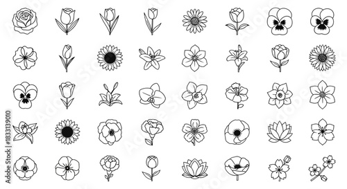 Collection of various flower icons in black and white line art style.