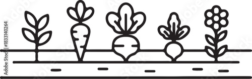 Stylized line art illustration of a row of fresh vegetables growing in a garden