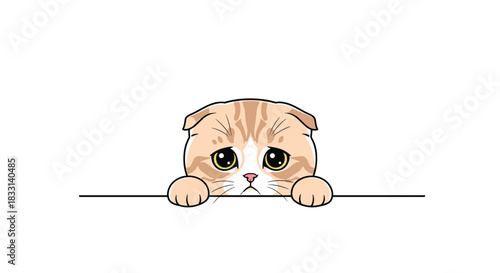 Adorable Scottish Fold cat with big, sad eyes peeking over a horizontal line, showcasing its folded ears and a melancholic expression.