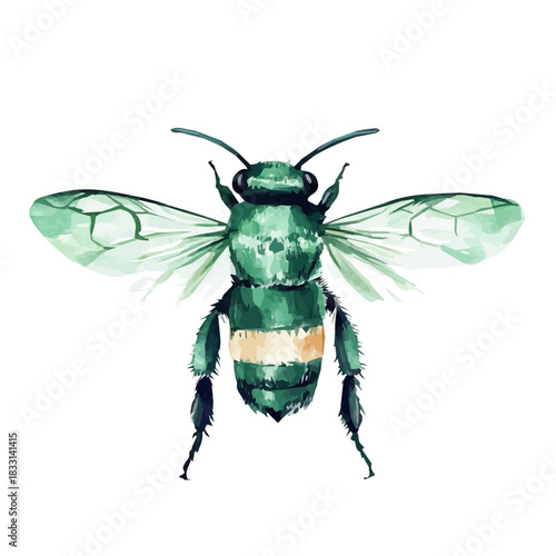 An Elegant carpenter bee painting design collection, Hand-painted watercolor style, vectorized, vector set available in EPS, Simple design, EPS format set, watercolor painting