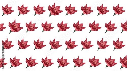 A festive motion graphic featuring a uniform pattern of geometric watercolor red leaves, strongly resembling poinsettia, perfect for modern holiday backgrounds.