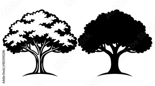 Stylized Black and White Deciduous Tree Illustration Set with Detailed Foliage and Silhouette Variations.
