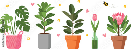 Flat Vector Collection of Indoor House Plants Including Monstera, Ficus, Rubber Tree, and Tulip in Pots for Home Decor, Gardening, and Interior Design